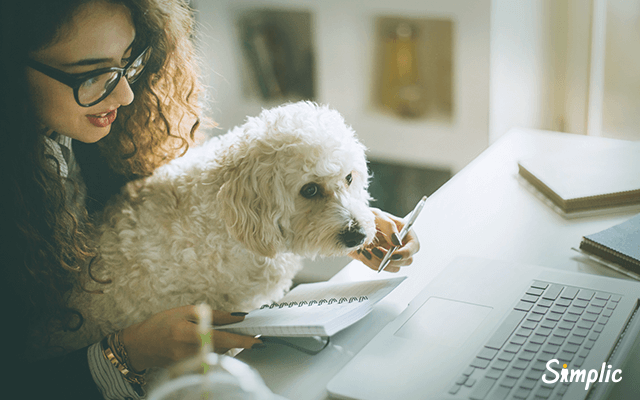 5 gastos com pets para não esquecer e economizar!